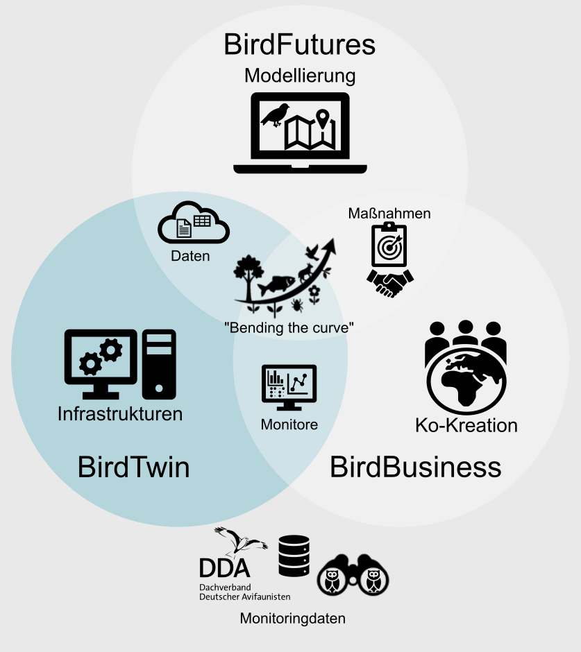 Schematische Darstellung von BirdTwin im TripleBird-Gesamtprojekt